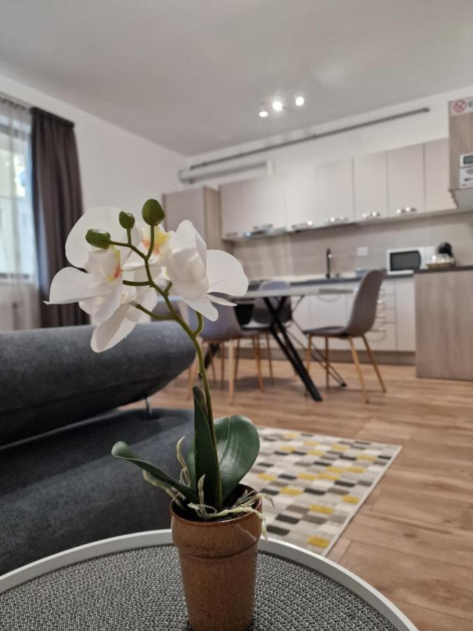 Vic Apartament Дробета-Турну Северин Екстериор снимка