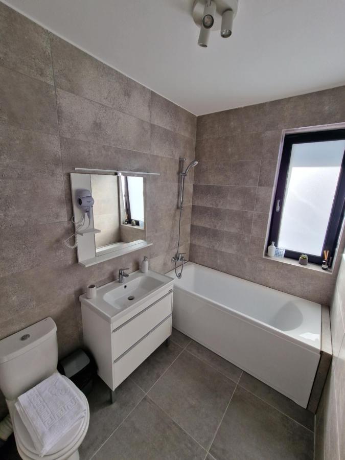 Vic Apartament Дробета-Турну Северин Екстериор снимка