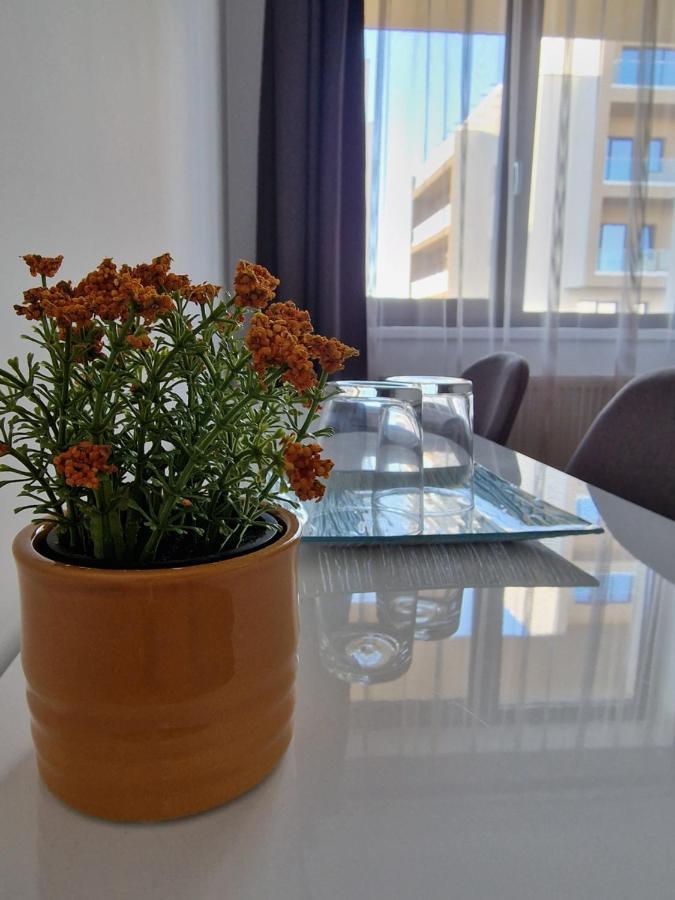 Vic Apartament Дробета-Турну Северин Екстериор снимка